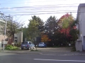 DSC02495.JPG