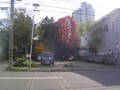 DSC02498.JPG